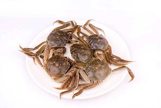 8da86bd1907c71359d3053ea068e38d7.jpg 8da86bd1907c71359d3053ea068e38d7.jpg