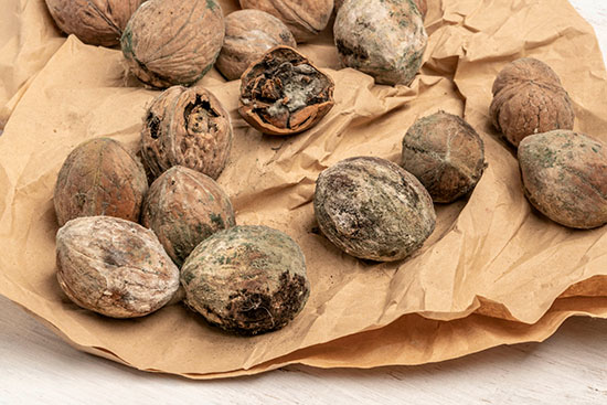 eadd02d6573a7645797f25229f71881b.jpg eadd02d6573a7645797f25229f71881b.jpg