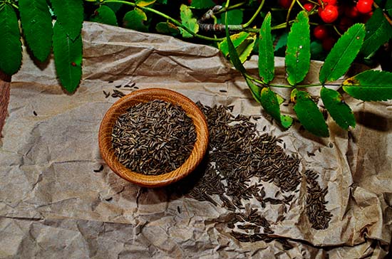 b48e0162cb234ee89887afa54d582a53.jpg b48e0162cb234ee89887afa54d582a53.jpg