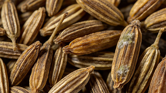 bfe1f28aa1a0e2bd2f0657a4eaa19eef.jpg bfe1f28aa1a0e2bd2f0657a4eaa19eef.jpg