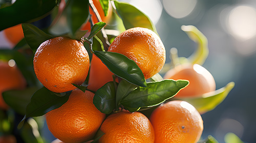 3fed8092c79694a11f71d4211a145c2c.jpg 3fed8092c79694a11f71d4211a145c2c.jpg