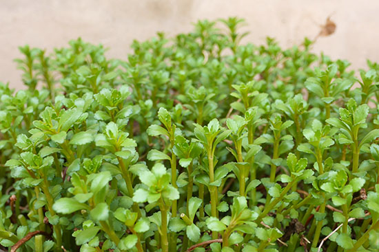 856083e3306fa622a0c6839d936c5013.jpg 856083e3306fa622a0c6839d936c5013.jpg