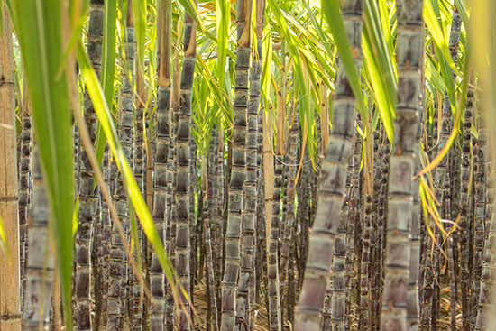 353ee0fab76b96164b7bef4d16e2fe96.jpg 353ee0fab76b96164b7bef4d16e2fe96.jpg